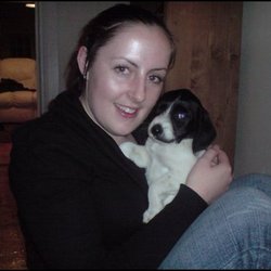Lost dog on 21 Mar 2009 in Bray, Co Wicklow. small black and white female dog,is a bit bigger now than in photo,went missing from my back garden in bray, co wicklow.answers to sophie. she is microchipped. Reward given if returned! Lost dog on 21 Mar 2009 in Bray, Co Wicklow. small black and white female dog,is a bit bigger now than in photo,went missing from my back garden in bray, co wicklow.answers to sophie. she is microchipped. Reward given if returned!