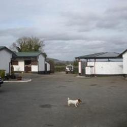 Lost dog on 24 Mar 2009 in Baltinglass . jack russell terrier(Jack) lost in baltinglass co. wicklow white body with brown patches on head very very friendly Lost dog on 24 Mar 2009 in Baltinglass . jack russell terrier(Jack) lost in baltinglass co. wicklow white body with brown patches on head very very friendly